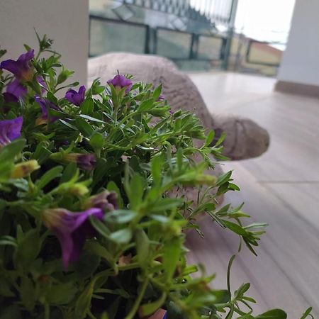Attico Gloria & Greta Apartment กัสเตลลัมมาเร เดล โกลโฟ ภายนอก รูปภาพ