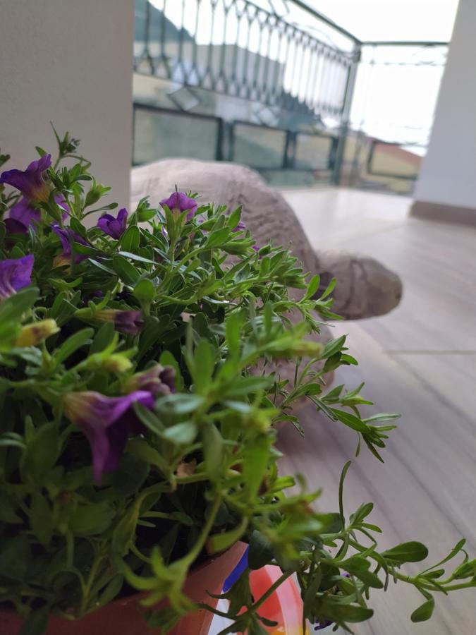 Attico Gloria & Greta Apartment กัสเตลลัมมาเร เดล โกลโฟ ภายนอก รูปภาพ
